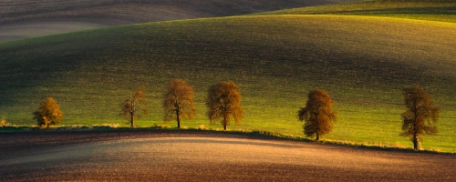 VII Konkurs Fotograficzny Miejsca, Ludzie, Zdarzenia